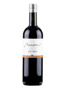 Bauer Petit Verdot 2019 | Crama Bauer | Dragasani